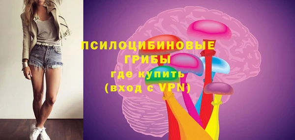 индика Алзамай