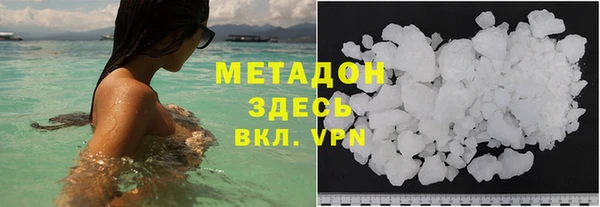 индика Алзамай