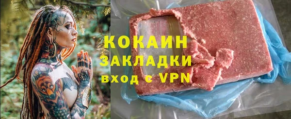 индика Алзамай
